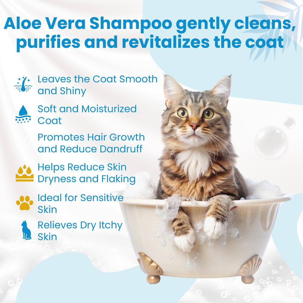 Bio PetActive démêlage pellicules pour pelage plus propre et moins irrité.