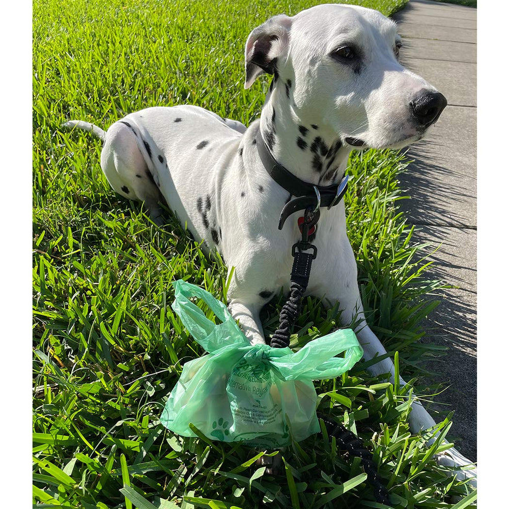 BioBag: sacs pour espaces publics et parcs, réduction des déchets plastiques.