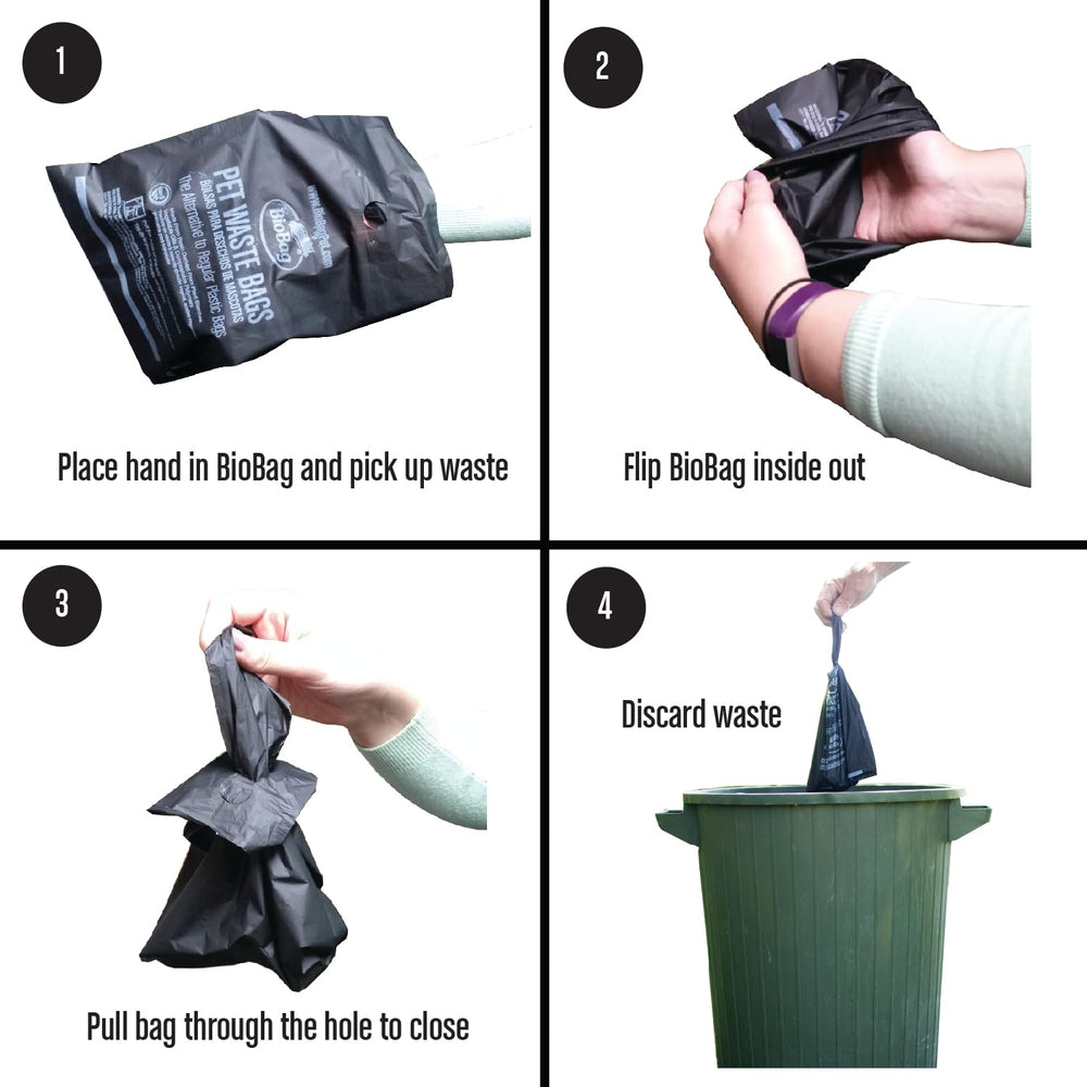 BioBag usage lors d’une promenade avec chien, accessibilité et praticité.