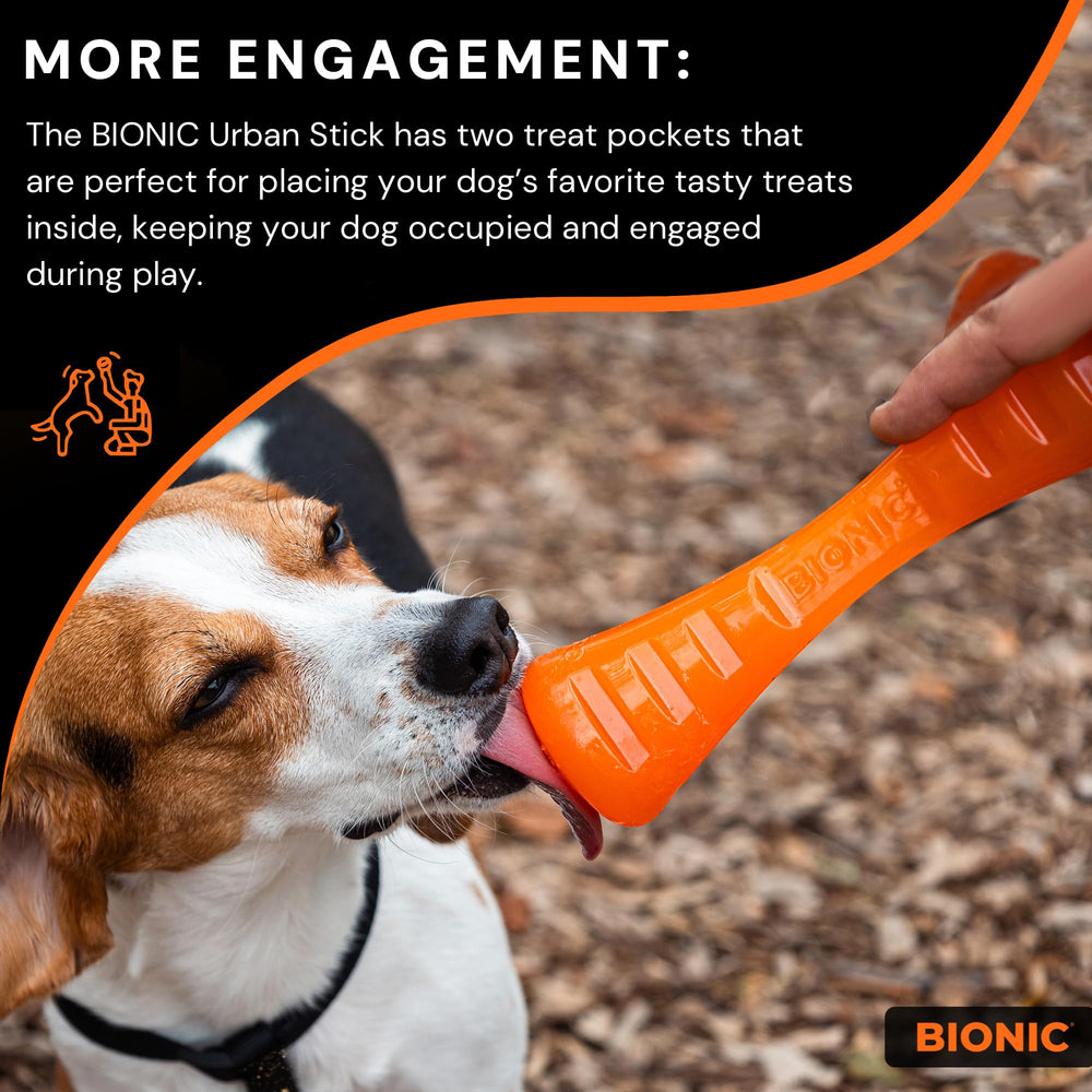 Jouet BIONIC Urban Stick, taille Large adaptée aux chiens de 13 à 27 kg.