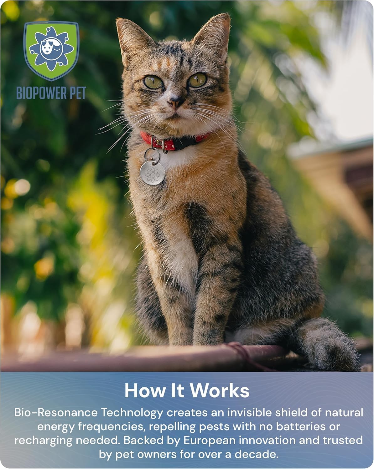 BioPower Pet Shield accessoire résistant à l'eau, idéal pour les sorties quotidiennes.