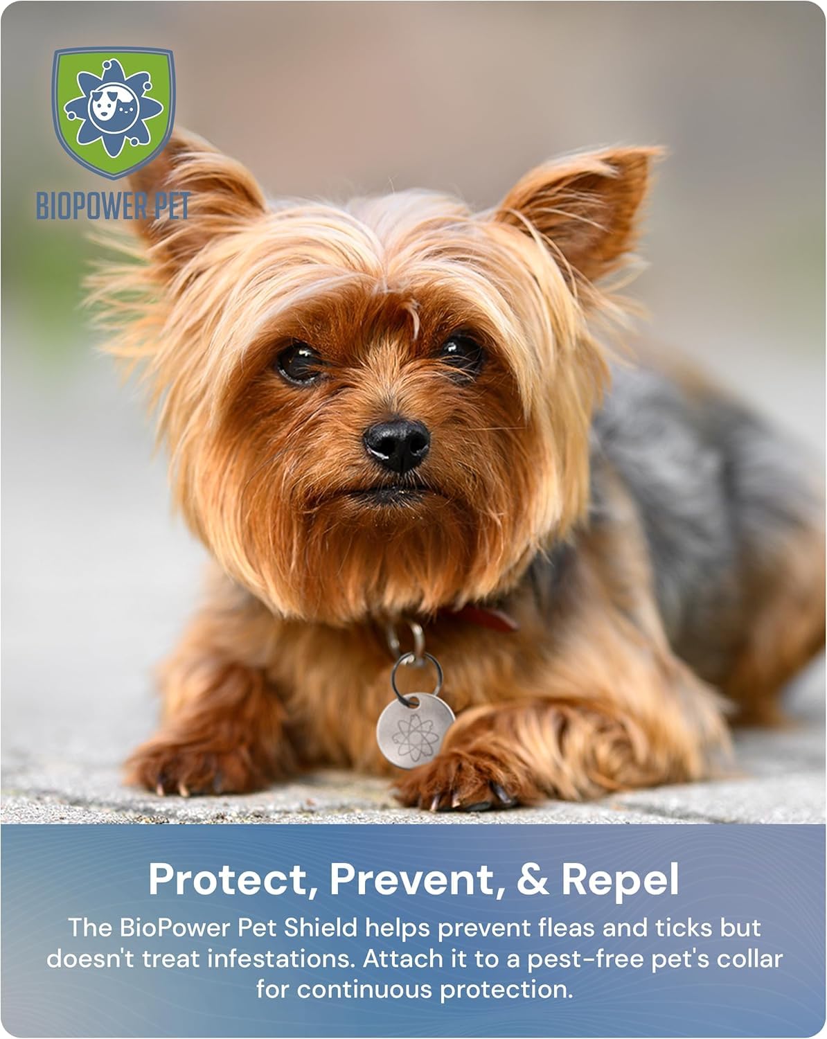 Utilisation quotidienne sans entretien avec BioPower Pet Shield, simple et durable.
