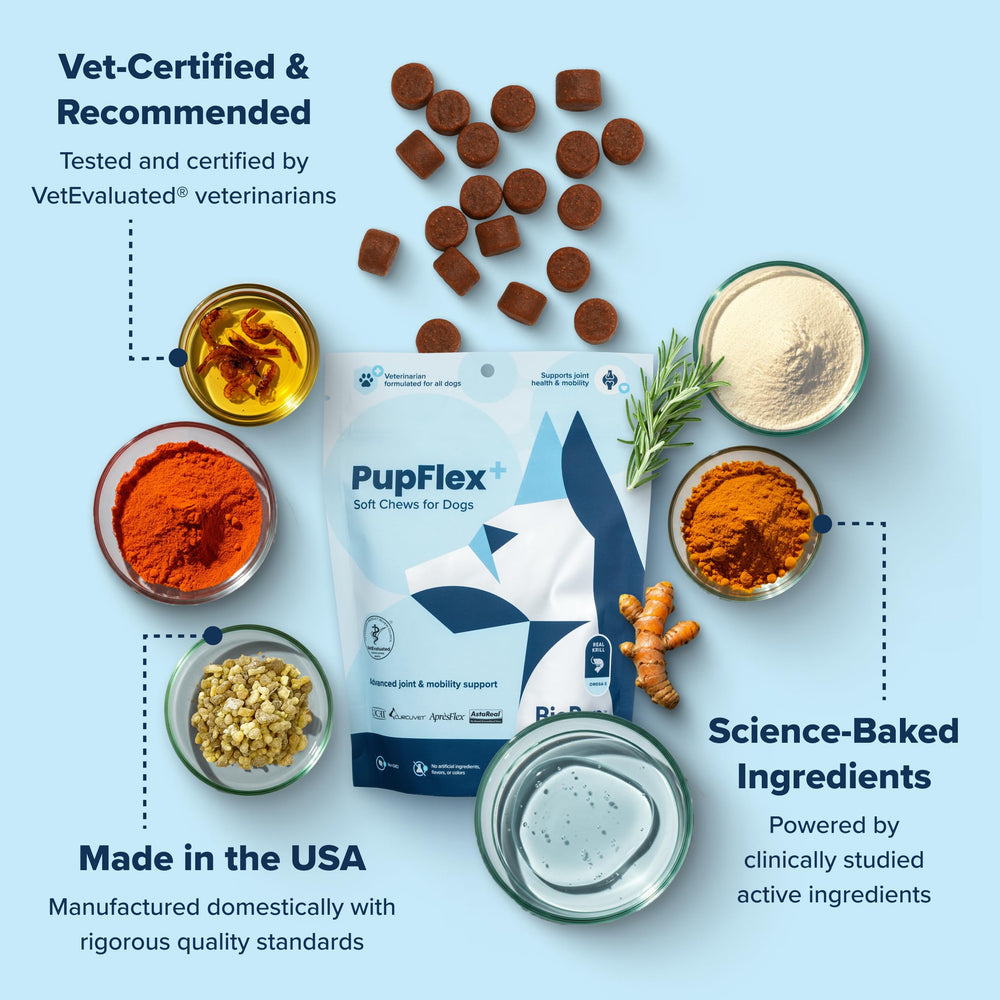 BioPup PupFlex+ emballage clair et informations VetEvaluated.