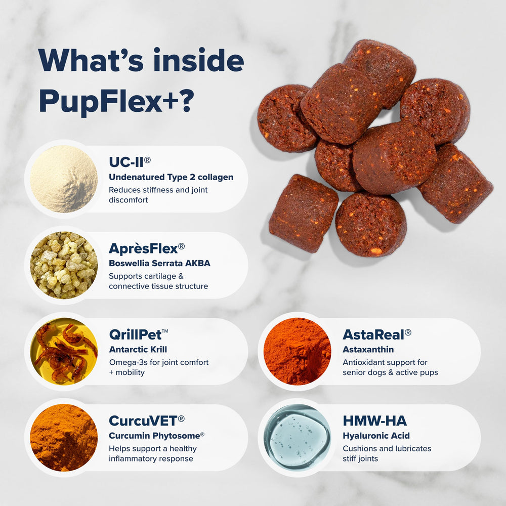 BioPup PupFlex+ oméga3 QRILL Antarctique, soutien nutritionnel des articulations.