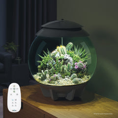 BiOrb AIR 30, capteur d'humidité, aide à maintenir des conditions optimales pour les plantes.