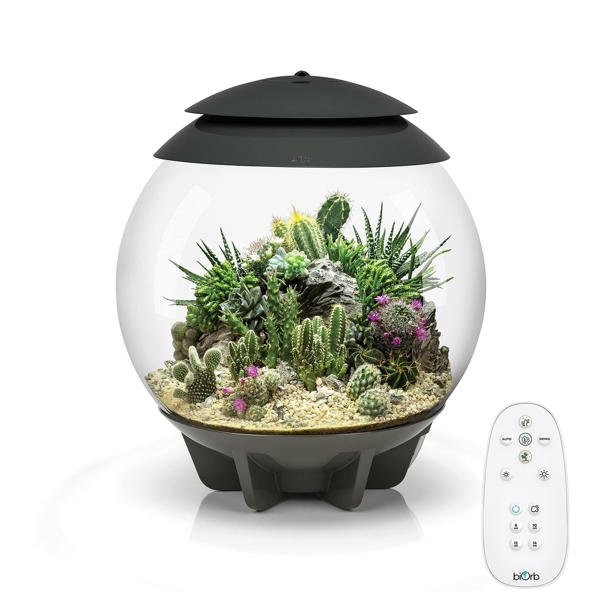BiOrb AIR 30, globe terrarium, vue à 360 degrés pour une présentation élégante des plantes.