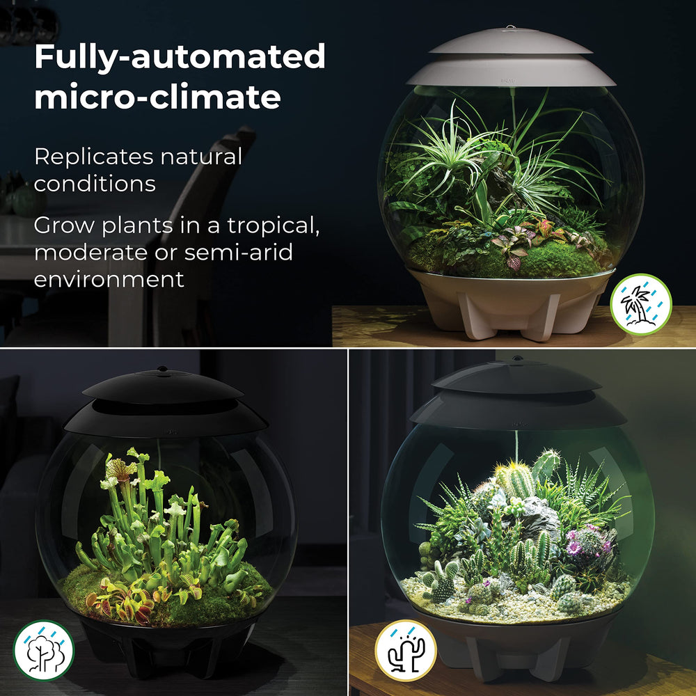 BiOrb AIR 30, pulvérisation automatique, humidité stable pour des plantes sans effort.