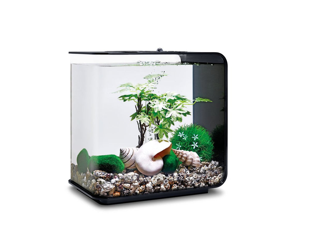 biOrb Déco Été coquillages naturels, offrent des détails texturés pour une ambiance maritime.