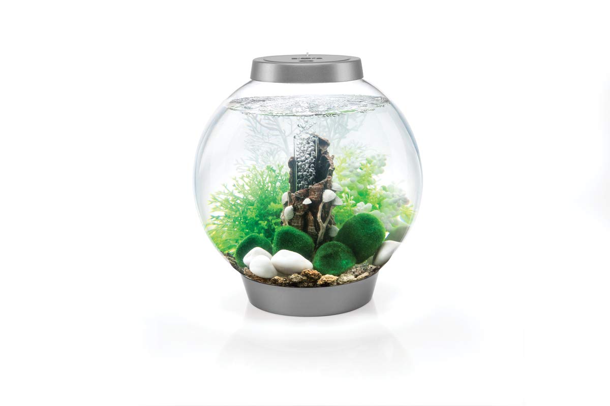 BiOrb éventail de mer blanc, élément décoratif élégant qui attire le regard.
