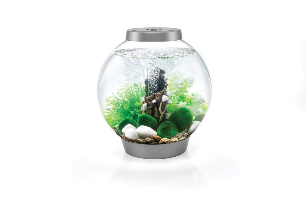 BiOrb éventail de mer blanc, élément décoratif élégant qui attire le regard.