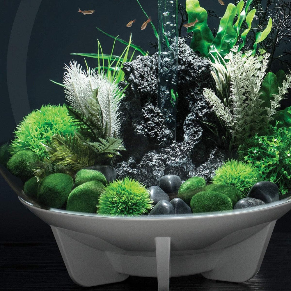 biOrb galets mousse décoration aquarium: mise en valeur rapide