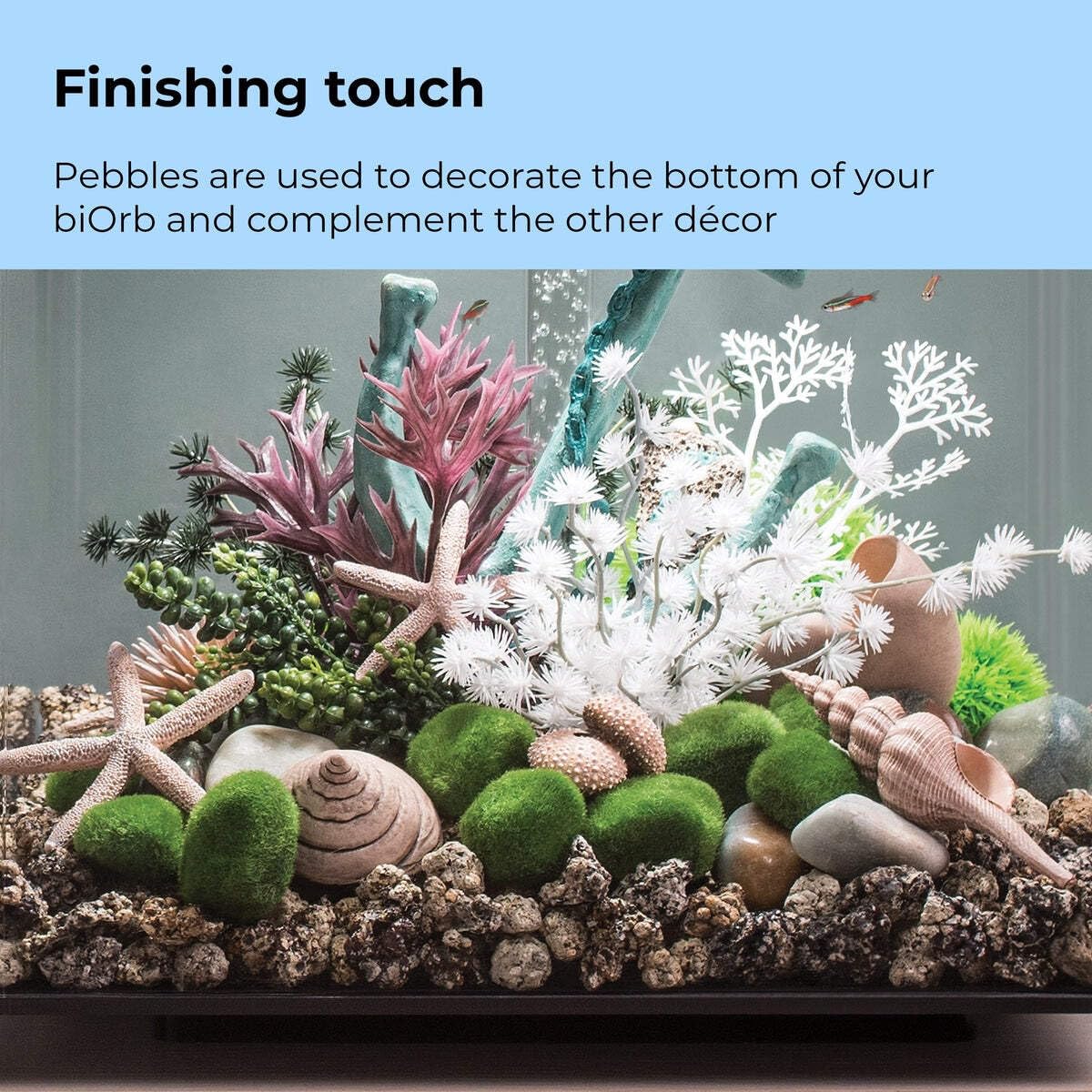 biOrb galets mousse douceur visuelle: texture subtile du fond