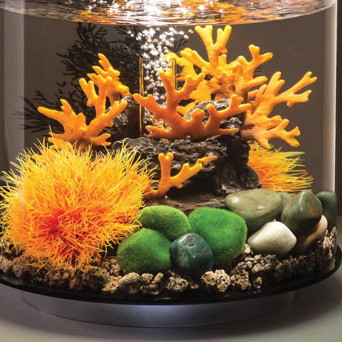 biOrb galets mousse harmonie poissons: fond neutre pour les poissons