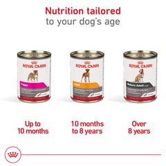 Biotine et nutriments soutenant le système nerveux chez le chien Royal Canin.