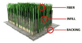BioTurf absorption à la source pour odeurs d'urine et déjections dans le gazon.