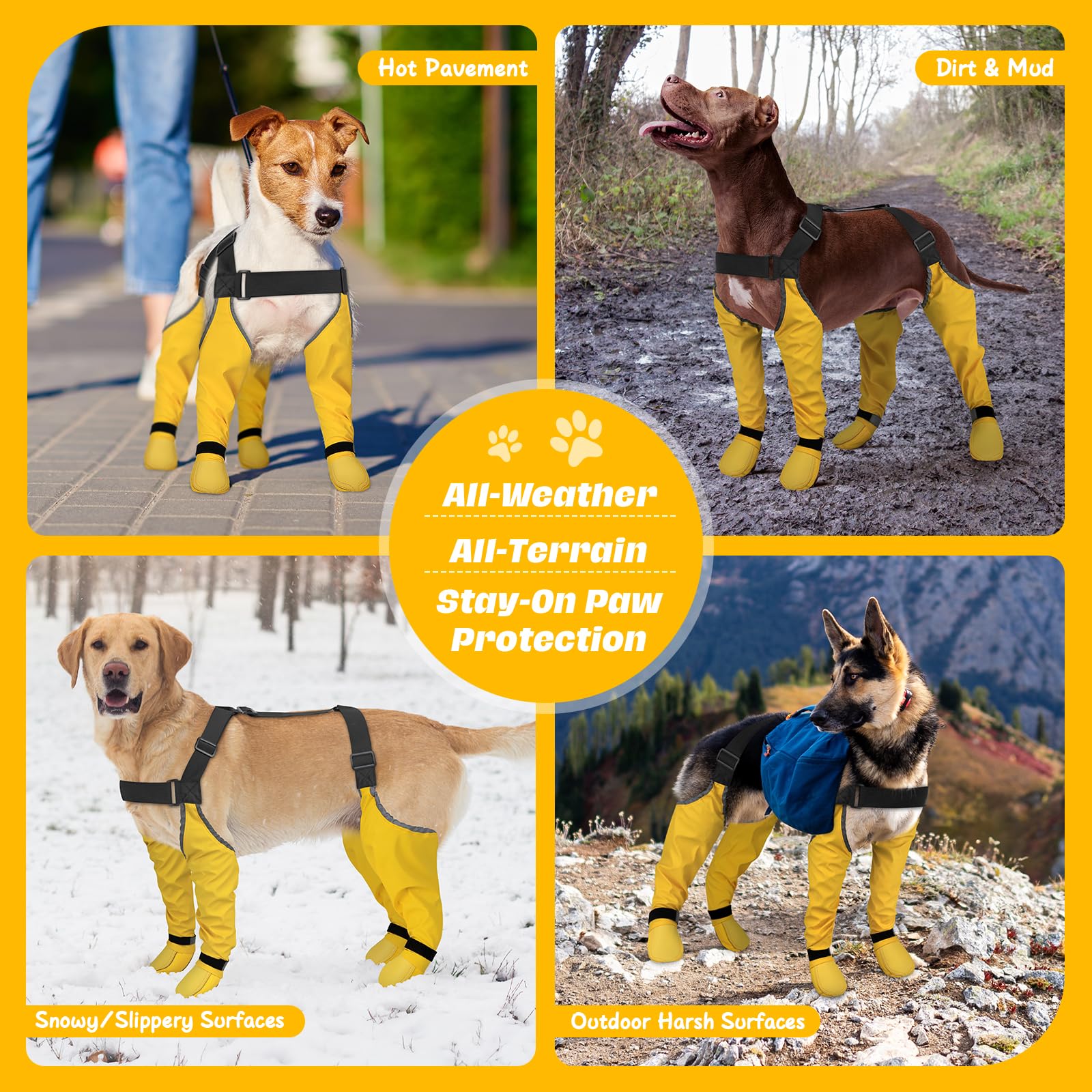 BiPawTi protection des pattes et des jambes sur terrain extérieur, confort et sécurité.