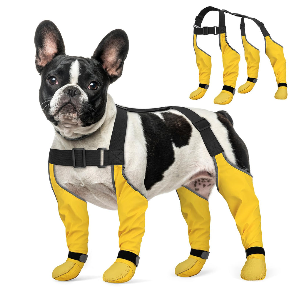 BiPawTi bottes suspendues tout-en-un pour chien, sécurité renforcée et ajustement facile.