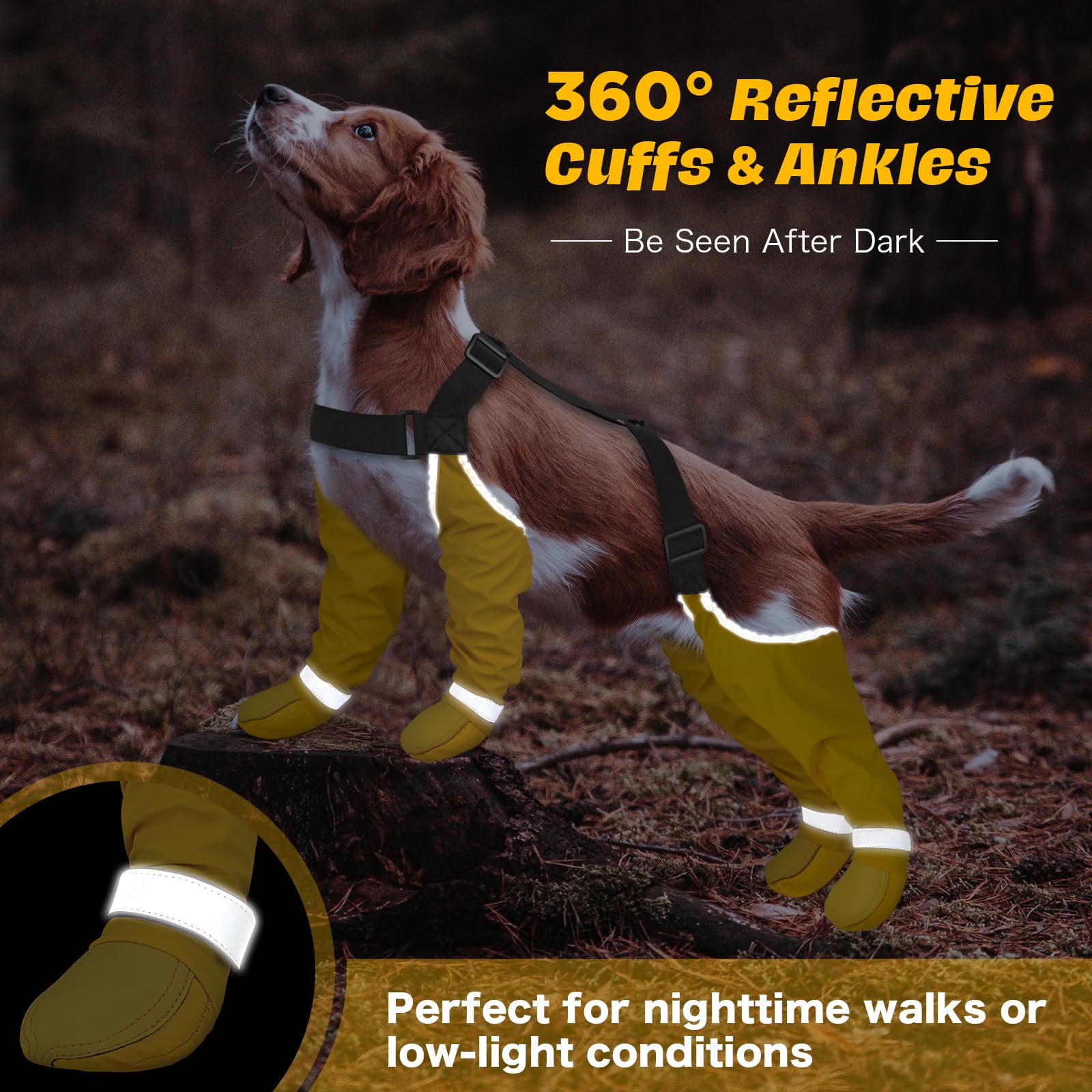 BiPawTi boucles reflectissantes ajoutent visibilite lors des sorties nocturnes.