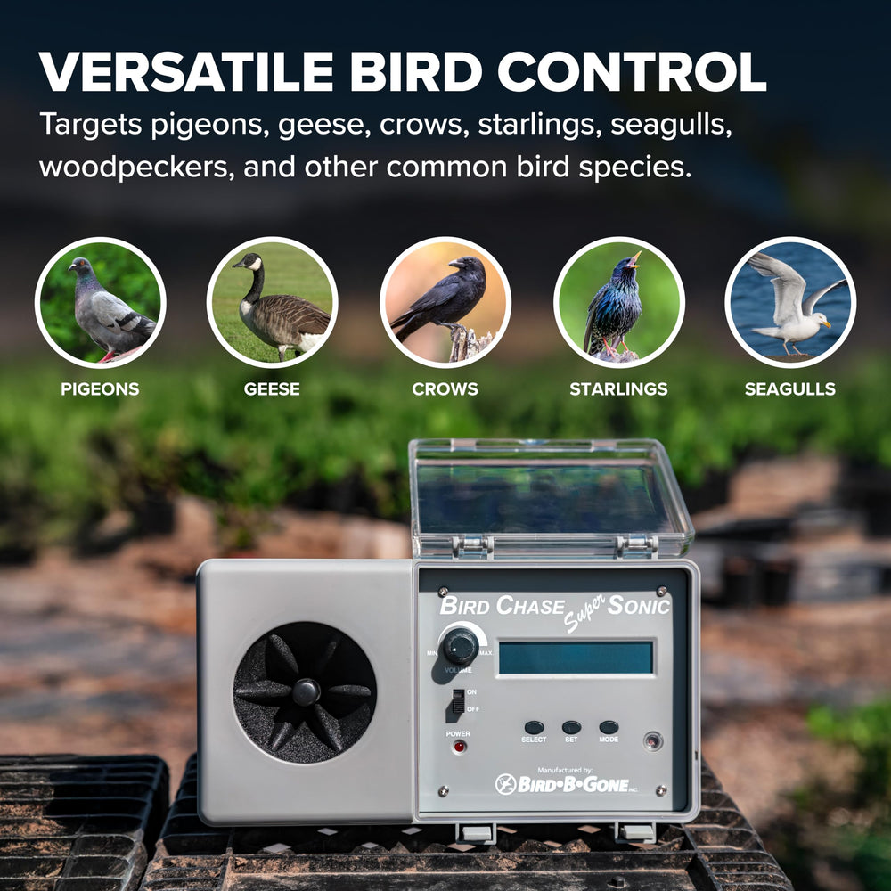 Bird B Gone Bird Chase Super Sonic - couverture jusqu à 0,41 hectare avec haut-parleur intégré
