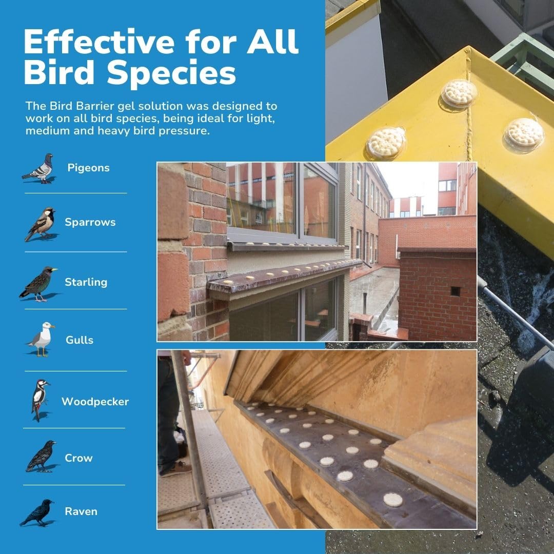 Bird Barrier Gel Optique 24-paquets idéal pour balcons et rebords.
