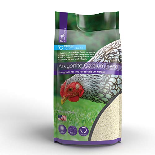Bird Natural Aragonite Calcium Boite Emballage – rangement pratique et dosage.