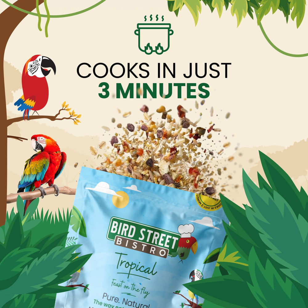 Conseils d'utilisation Bird Street Bistro: cuisson et service faciles.