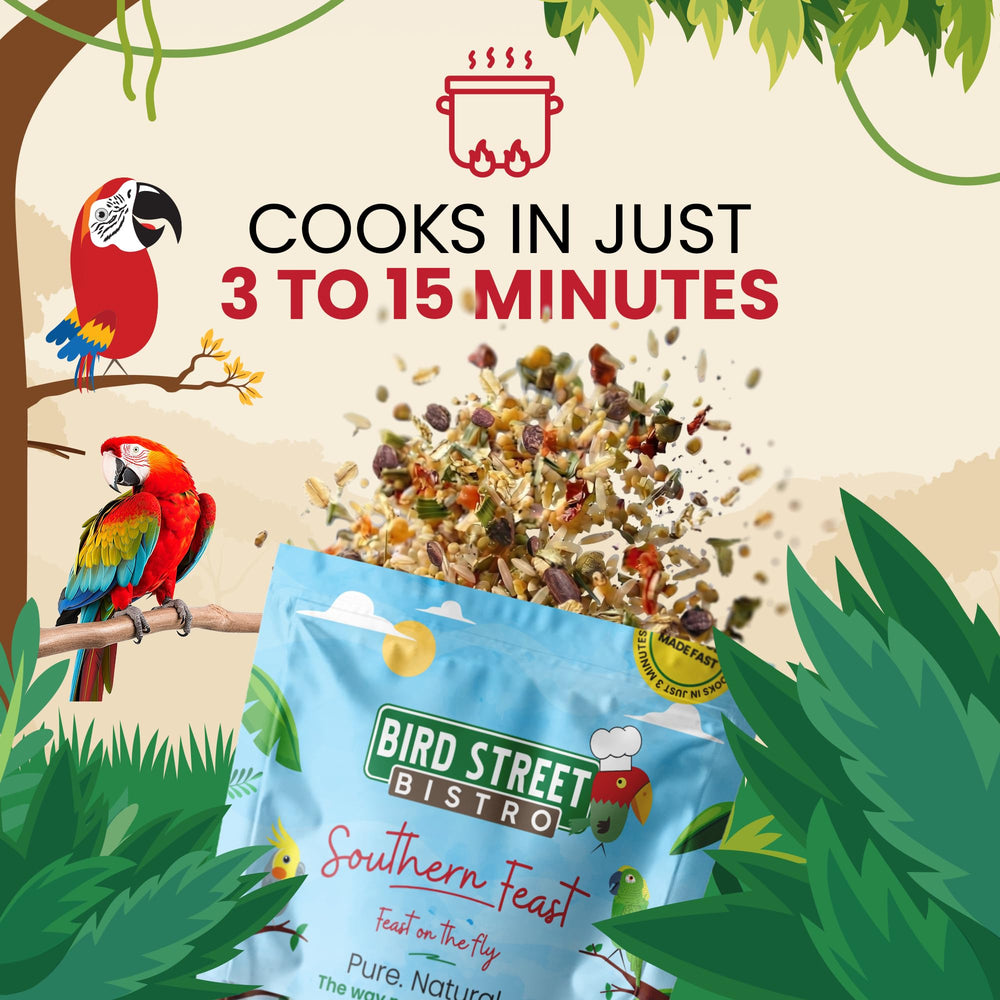 Bird Street Bistro Contenu fruits secs et céréales pour repas quotidiens.