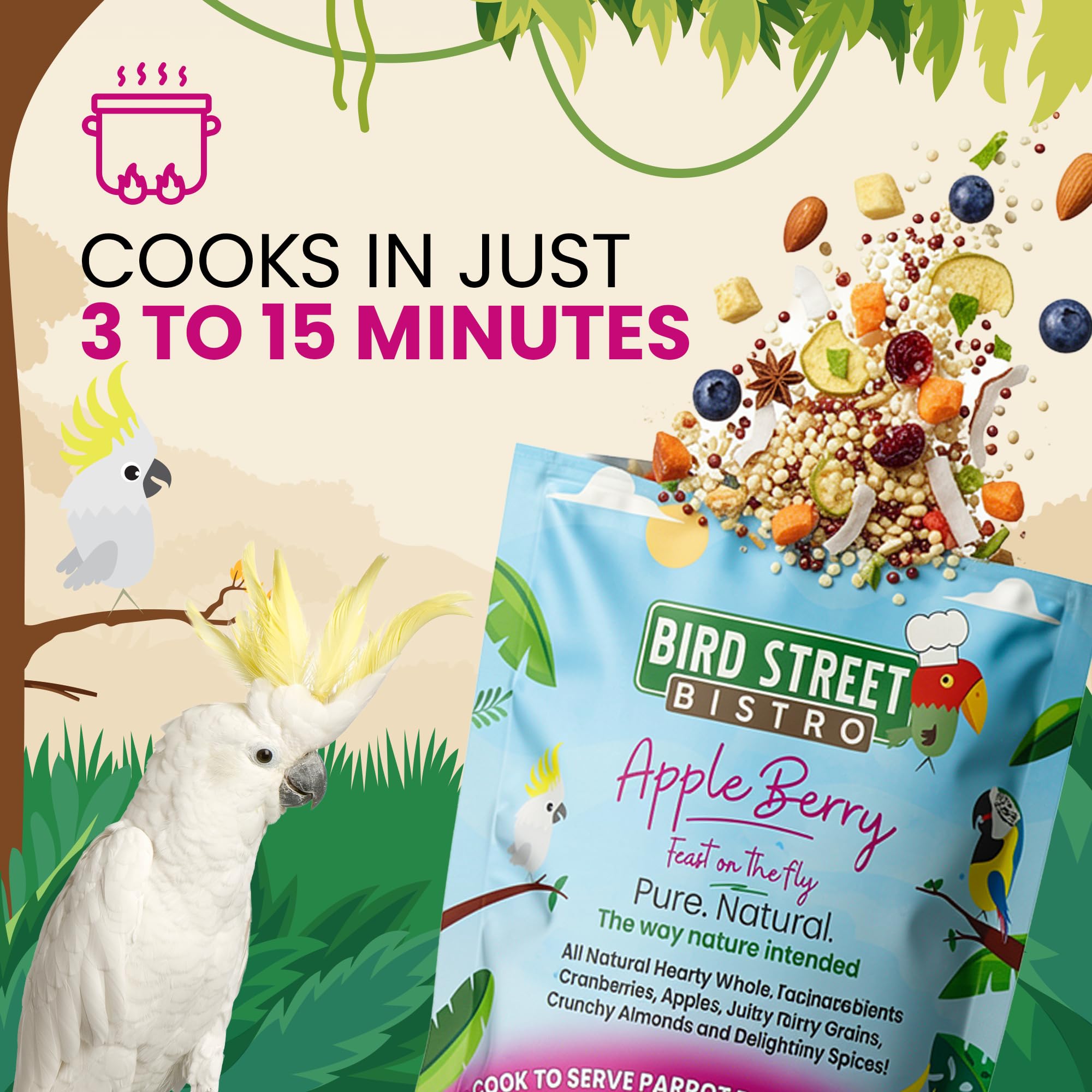 Bird Street Bistro – épices saines et fruits non-OGM pour savoureux repas.