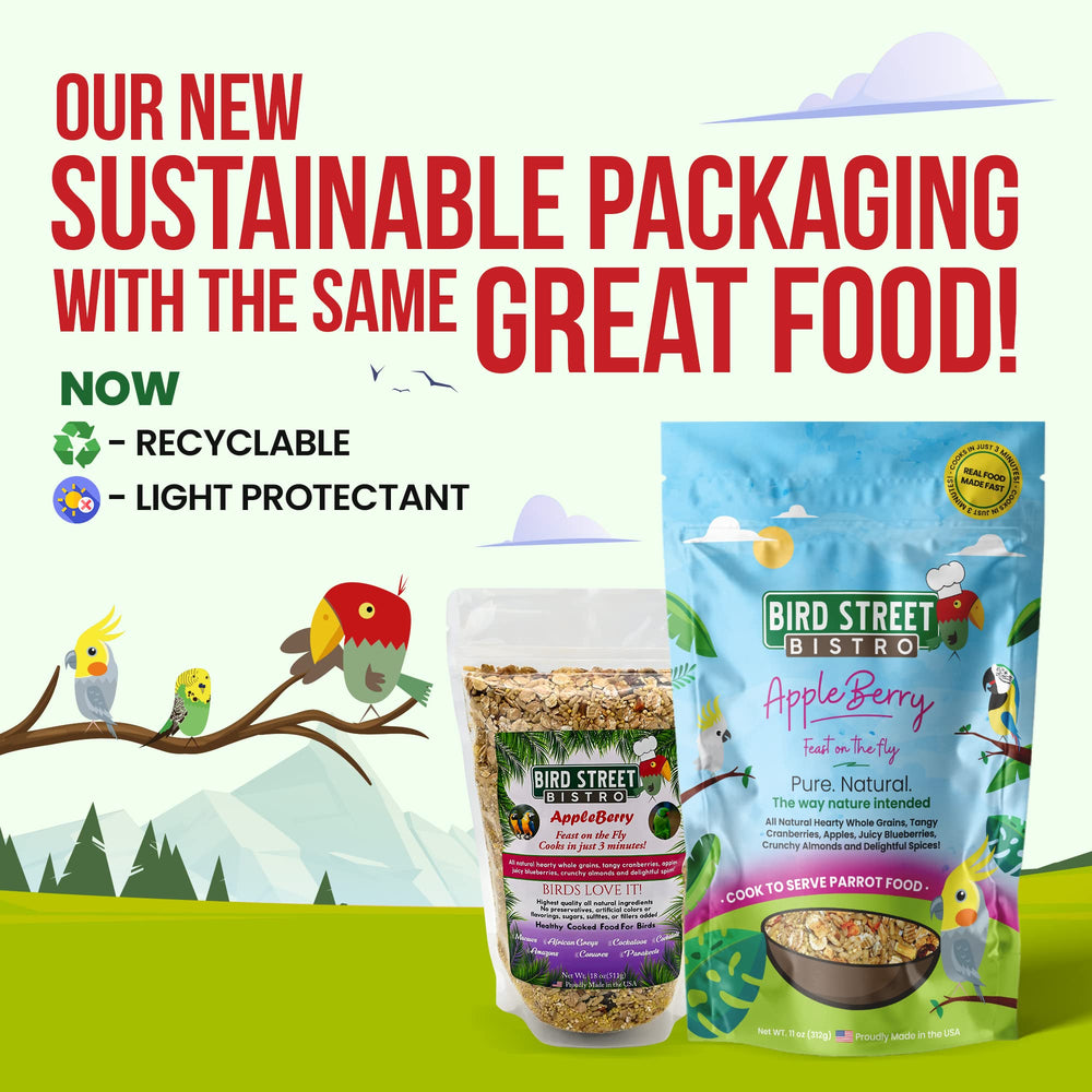 Bird Street Bistro – grains entiers naturels pour une alimentation équilibrée.
