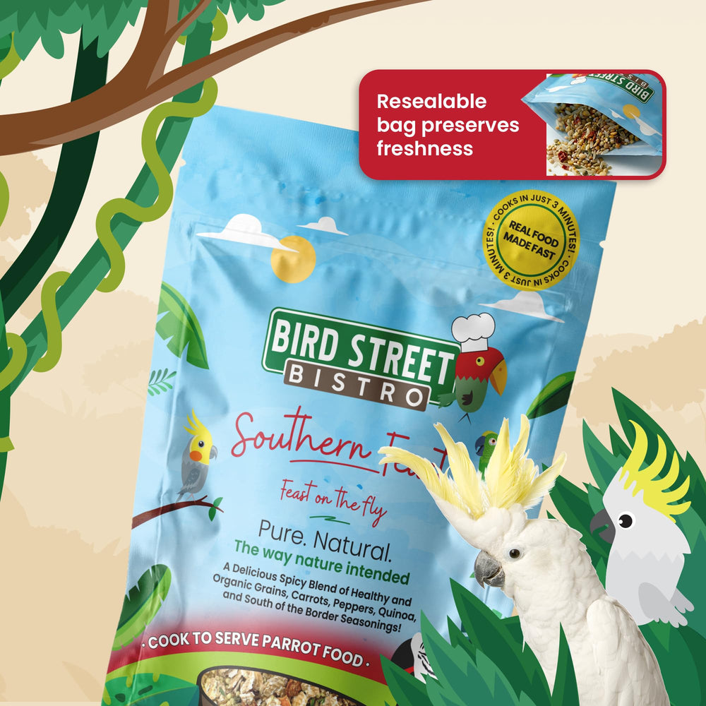 Bird Street Bistro Présentation appétissante sur assiette pour perroquets.