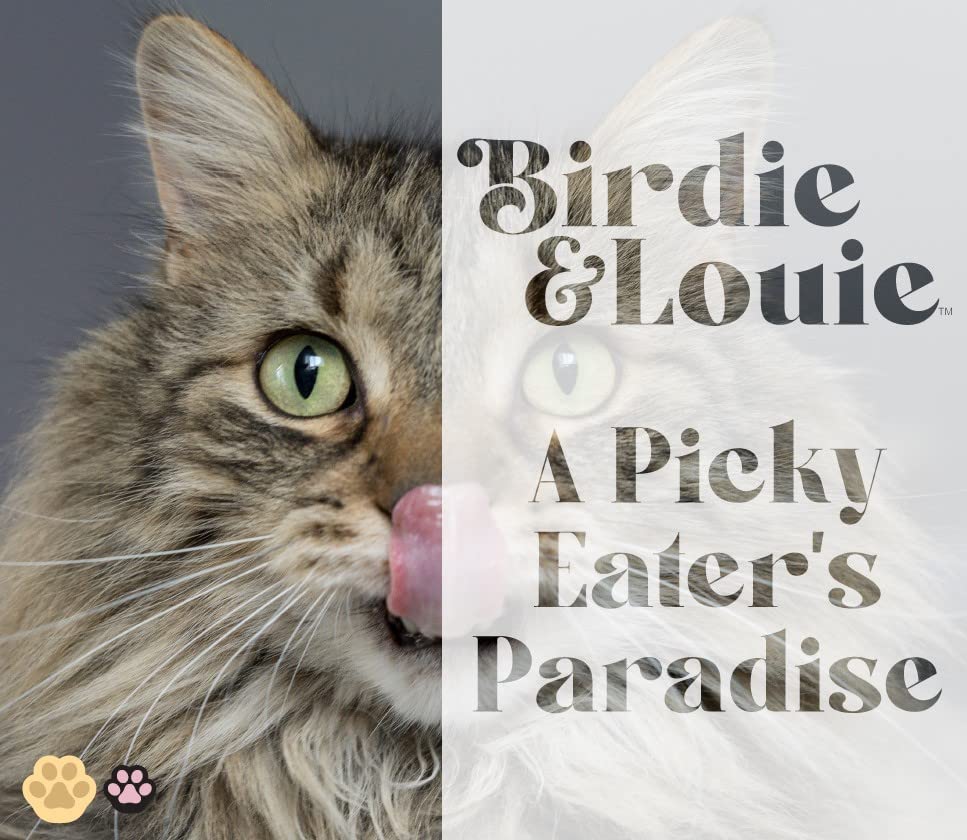 Birdie & Louie pêche éthique et sans impact sur les dauphins, choix responsable
