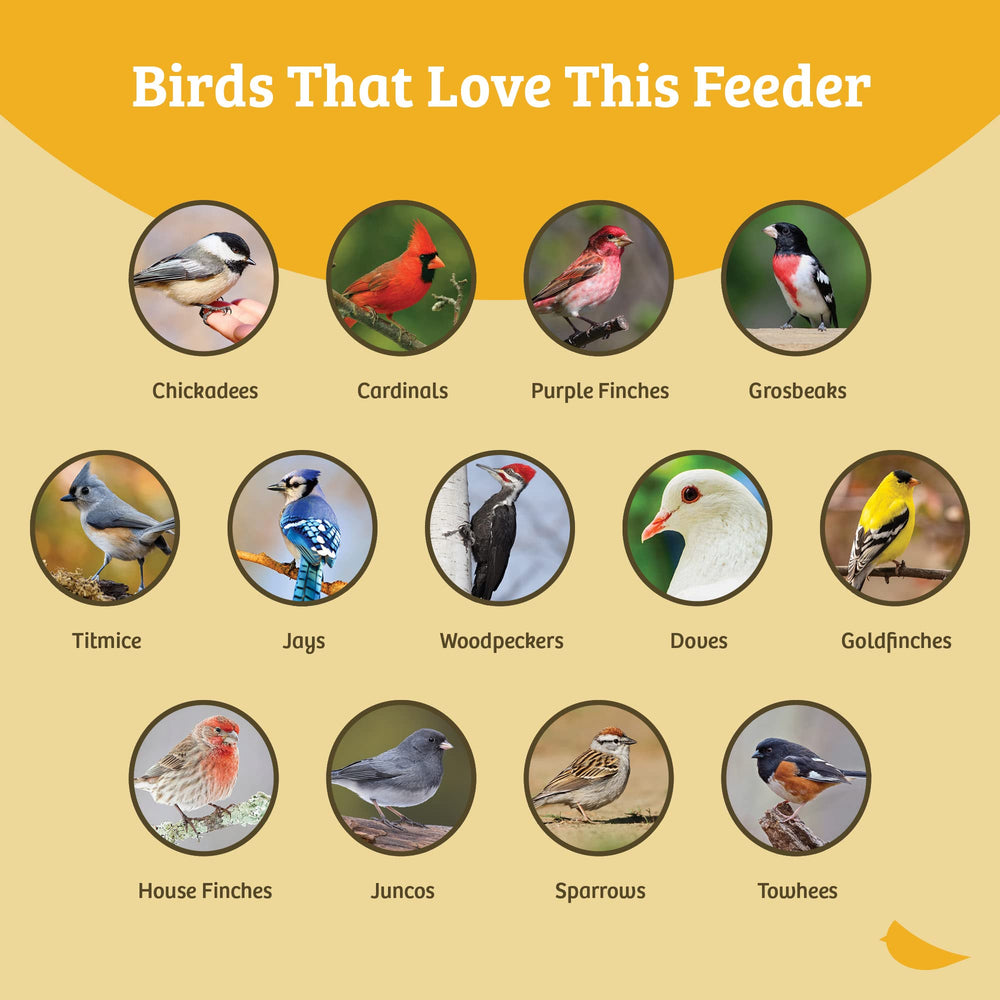 Birds Choice plateau ouvert alimentation-oiseaux: utile comme plateau alimentaire et pour attirer les oiseaux.