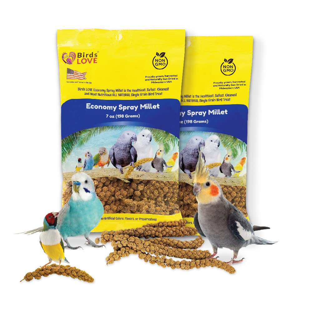 Birds LOVE Millet en spray – bouteille prête à l’emploi pour récompenser vos oiseaux