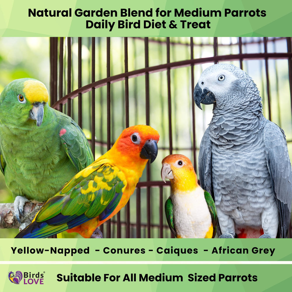 Birds LOVE Fruits Noix Légumes Conures: ingrédients naturels pour variété nutritive.
