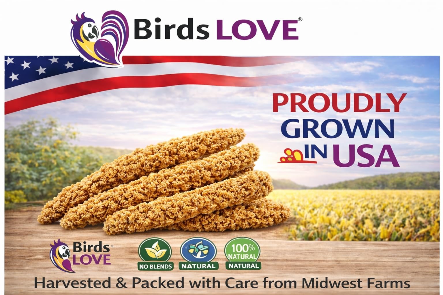 Birds LOVE grains de millet naturels, texture croquante idéale pour le grignotage.