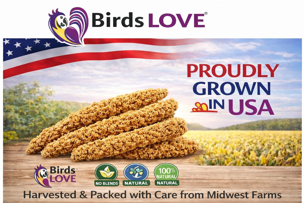 Birds LOVE grains de millet naturels, texture croquante idéale pour le grignotage.