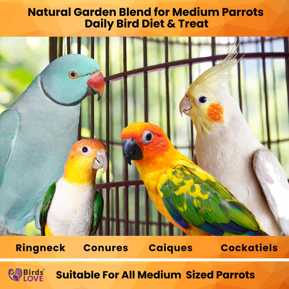 Birds LOVE melange couleurs et nutrition: attire l’attention et soutient le plumage.
