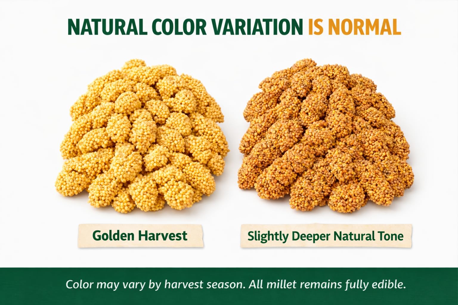 Birds LOVE Millet brins en cage: facile à introduire pour la routine quotidienne.