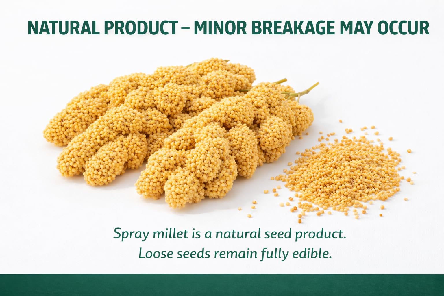 Birds LOVE Millet clip dans cage: utilisation simple comme friandise saine.