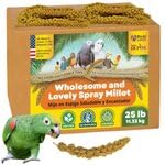 Birds LOVE Millet: collation facile et éducative lors des jeux.