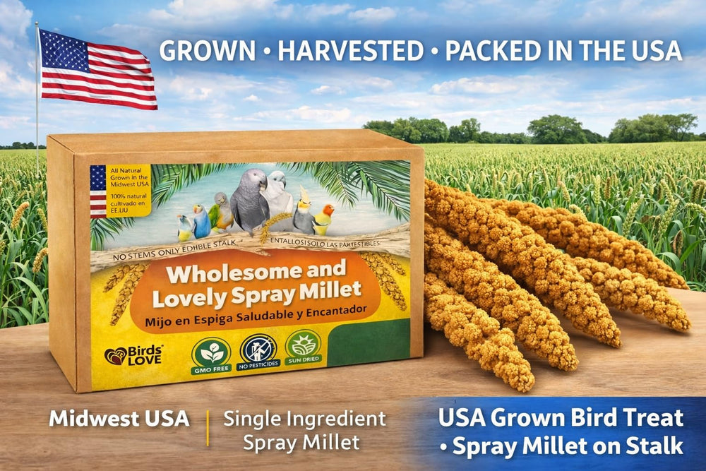 Birds LOVE Millet: couleurs naturelles varient selon la récolte, texture riche.
