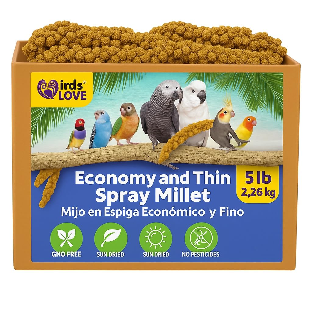 Birds LOVE millet en spray 5 lb: friandise naturelle pour calopsittes et autres oiseaux