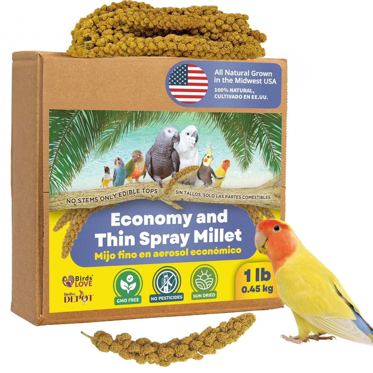 Birds LOVE millet entier sans tiges, encas naturel pour oiseaux.
