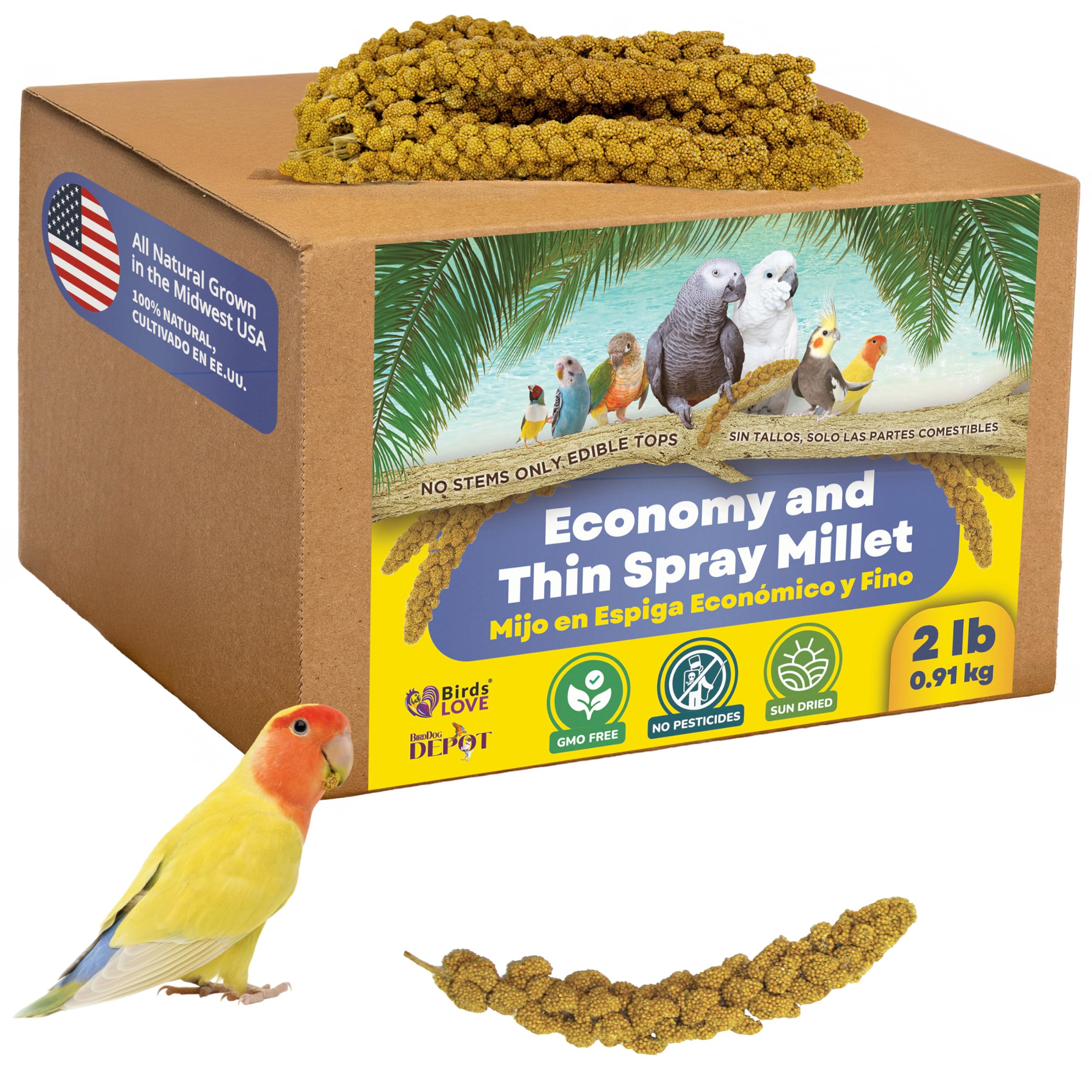 Birds LOVE millet entier sans tiges, idéal pour forage naturel dans la cage.