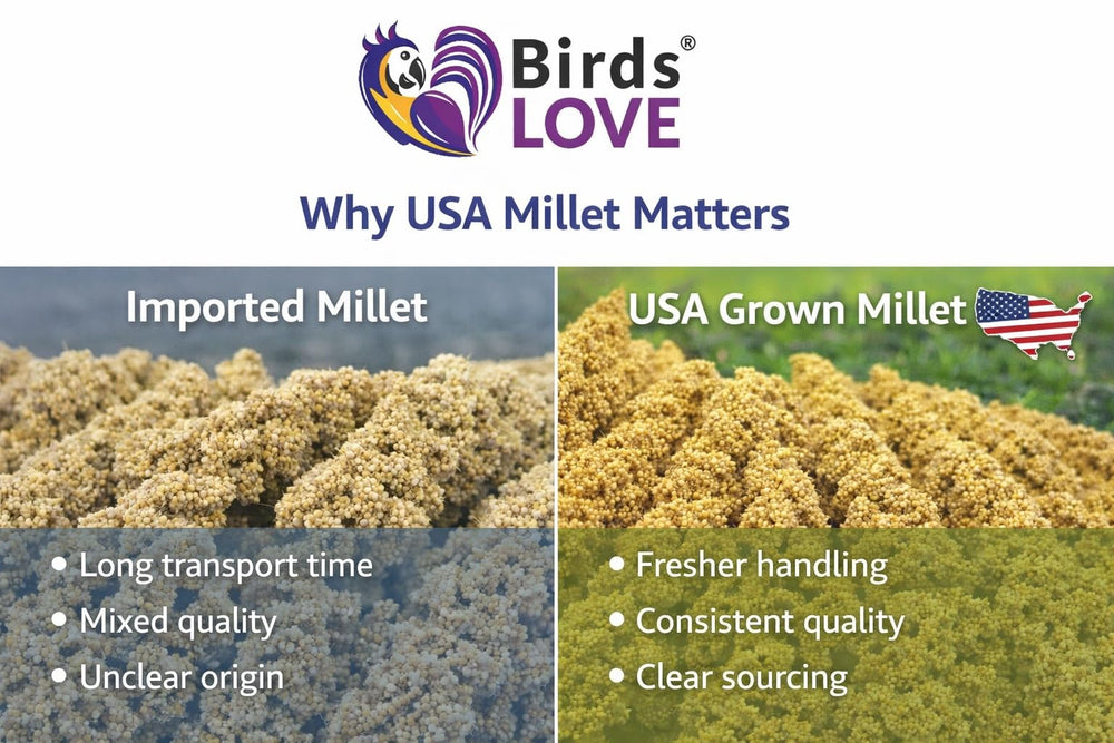 Birds LOVE Millet – faible teneur en graisse et digestibilité élevée.