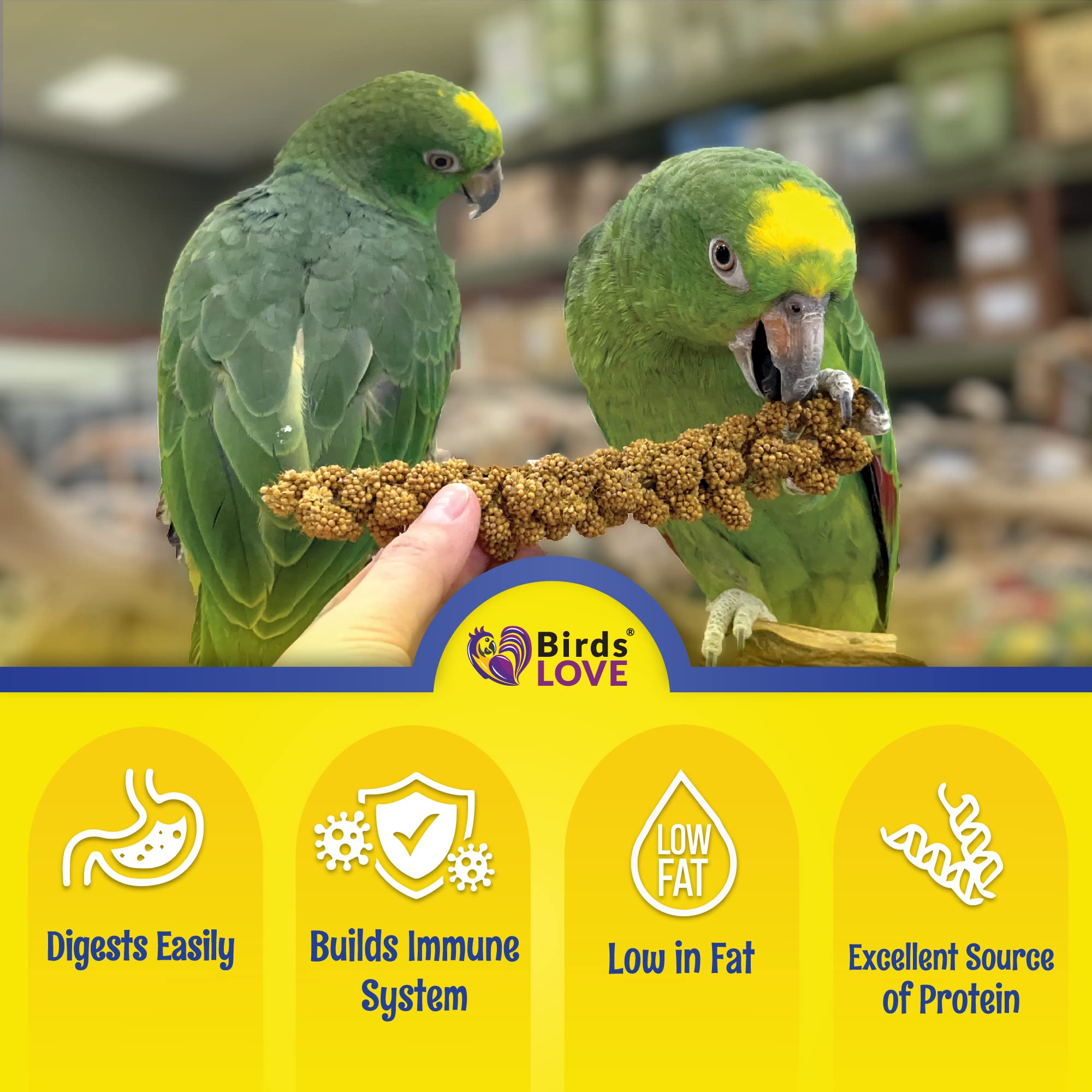 Birds LOVE millet forage naturel: stimule la recherche de nourriture chez vos oiseaux