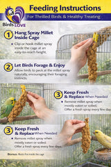 Birds LOVE Millet pour forage naturel – stimulation mentale et activité.
