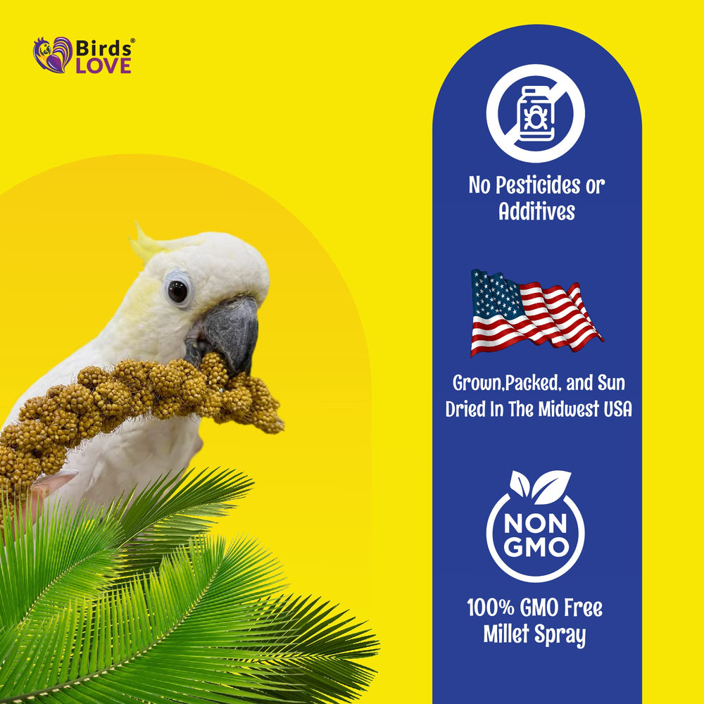 Birds LOVE Millet du Midwest – millet cultivé aux États‑Unis