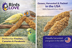 Birds LOVE Morceaux de millet 2,5 à 5 pouces – variété adaptée.
