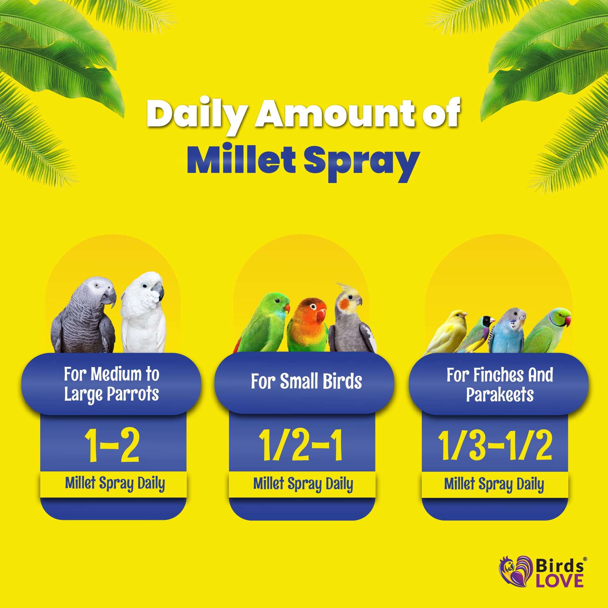 Birds LOVE millet pins ons canaris: parfait pour les oiseaux granivores